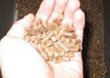 ペレットの画像