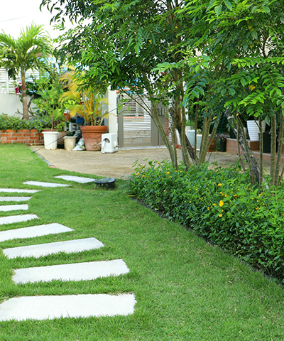 外構・樹木伐採